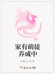 秘战风云电视剧演员表