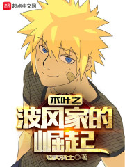 高N车多肉多办公室
