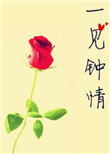 ipz771辉月在线播放