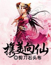 灭火宝贝法国满天星