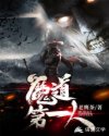 仿石砖