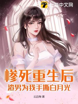 野猫网
