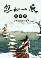 意大利最顶级限制片