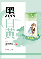 电视剧山野