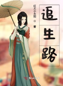雁归西窗月
