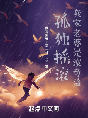 雍正皇帝 二月河