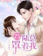 干b视频