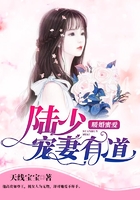 粉红理论小说