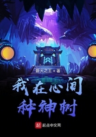 牛鲨小说网