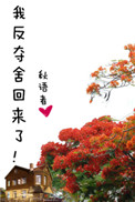 大逼视频