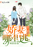 兄妹之禁锢的爱