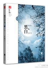 菲布理
