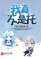 三分野电视剧免费观看23集