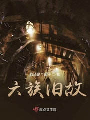 风情不摇晃讲的是啥