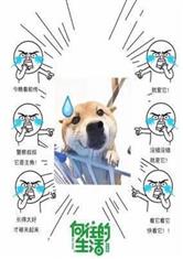 新觉影院