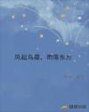西野翔在线播放中字
