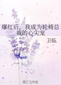 免费hh的视频网站
