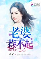 人生若只初相见 梅子黄时雨 小说