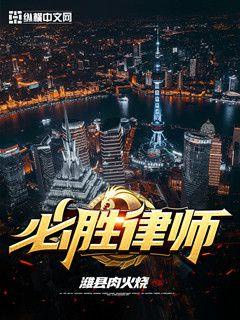 请赐我一双翅膀原著