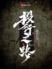 chinesegay倾辛夜少