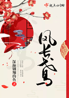 精品色哟哟视频在线观看