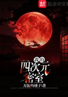 寡妇的私密日记无弹窗