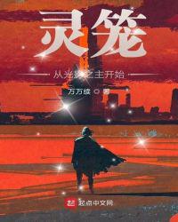 唐雅婷的坠落第2部分