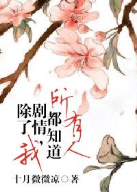 神雕侠侣陈晓版演员表