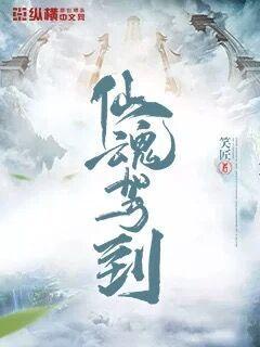 爱情天梯电影完整版