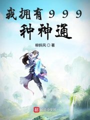 夜麟主角穿越的小说