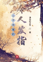 与狼共枕小说