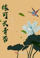 那一晚我要了英语老师