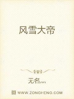 火炬之光2 狂战士 加点