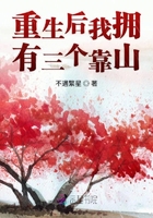 不渝小说