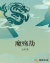 爱青岛论坛视频网站