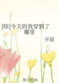 泽艺影城手机正片