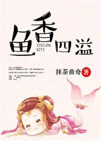 变形金刚二