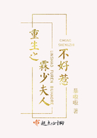 天天排行网手机站