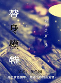 甜蜜再恋全集
