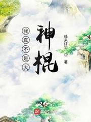 罪恶之花小说全集