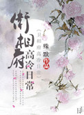 忘却的银狐