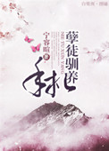 芒果精产国品一二三产区区别