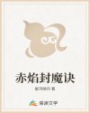 偷窥凸轮