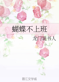 国产精品入口免费视频