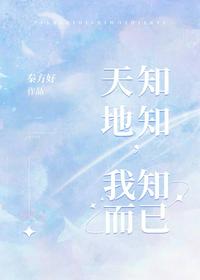 狐狸视频大片