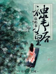 两人打扑克高清视频