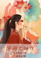 桃花村的女人全书免费