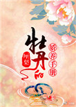 yirenwang