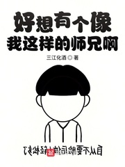 双生子H2v1