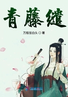 成年人在线播放视频
